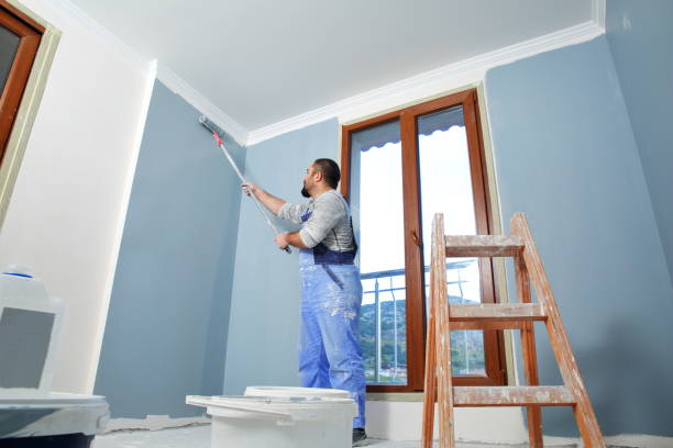 Best Industrial Mold Remediation  in Belfast, ME
