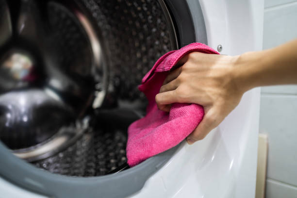  Belfast, ME Mold Removal Pros