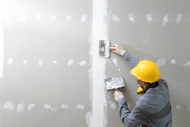 Best Mold Documentation for Insurance Claims  in Belfast, ME