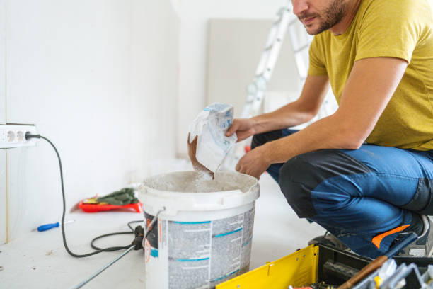 Reliable Belfast, ME Mold Removal Solutions