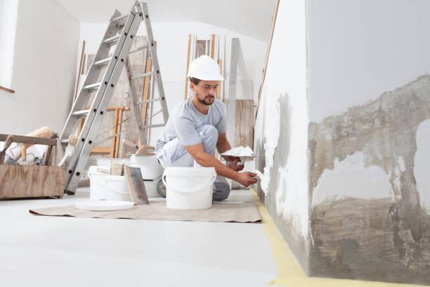 Best Mold Odor Removal Services  in Belfast, ME