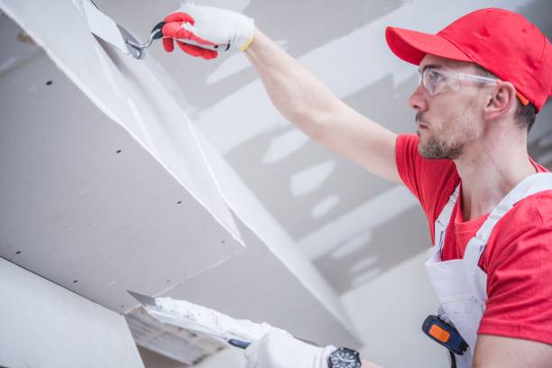 Best Black Mold Removal  in Belfast, ME